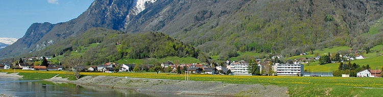 Panorama